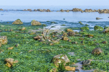 海边浅滩