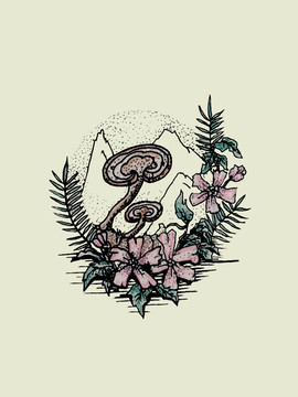 靈芝插畫