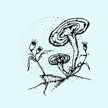 靈芝插畫