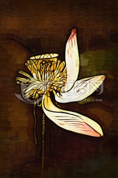 荷花抽象油畫(huà)