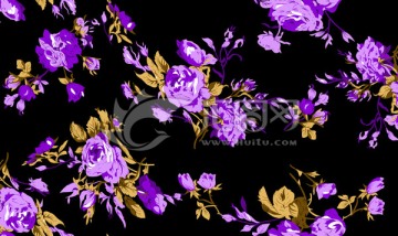 藍玫瑰 印花 花朵 花卉 背景