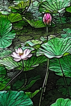 荷花抽象畫(huà)