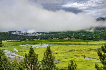 腾冲湿地