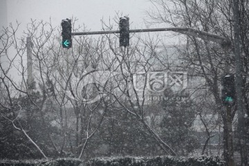 雪 信号灯