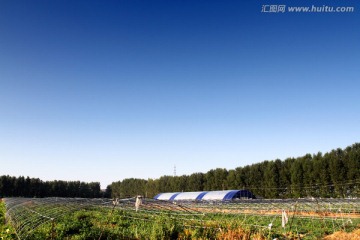 蓝天 原野