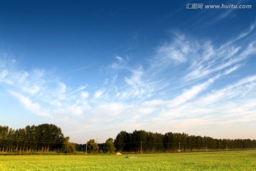 水田 稻田