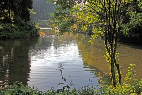 林间水塘倒影