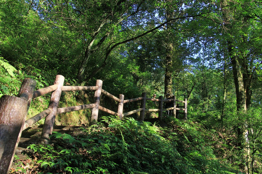 森林游道护栏