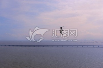 广深沿江高速公路机场特大桥航拍