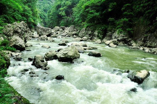 溪谷石頭水流