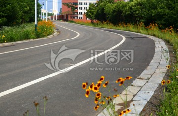 道路 绿树 花