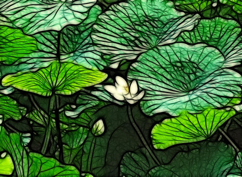 荷花抽象畫(huà)