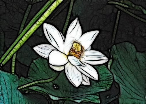 荷花抽象畫