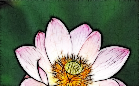 荷花抽象畫(huà)
