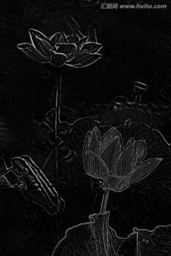 設(shè)計(jì)素材 荷花