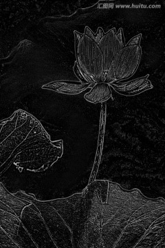 設(shè)計(jì)素材 荷花