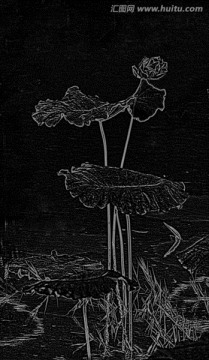 設(shè)計(jì)素材 荷花