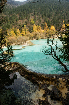 四川黄龙风光