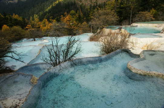 四川黄龙风光