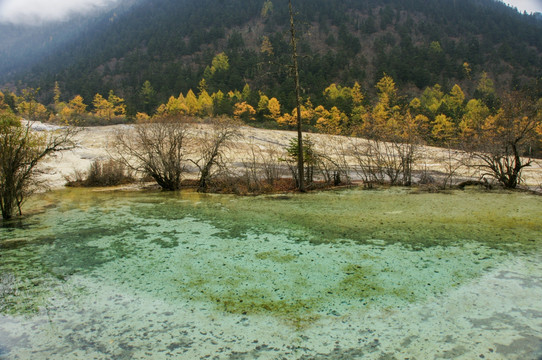 四川黄龙风景