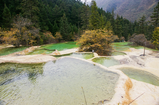 四川黄龙风景