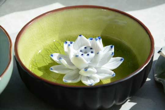 水莲花陶瓷盆