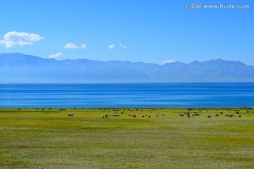 赛里木湖风光 高清