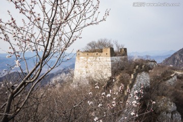 箭扣长城花季