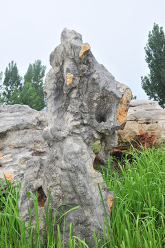 奇石 石头 景观石