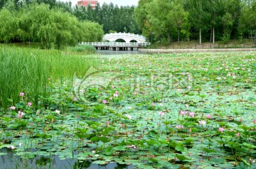 东北石油大学校园景观