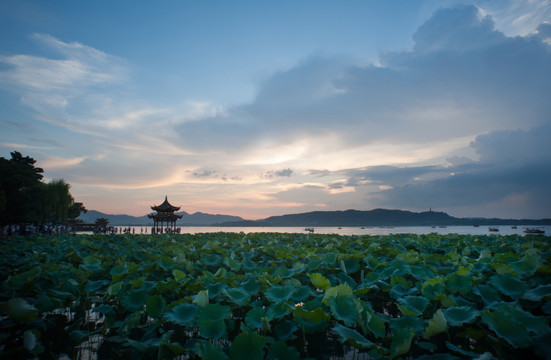 西湖夜景