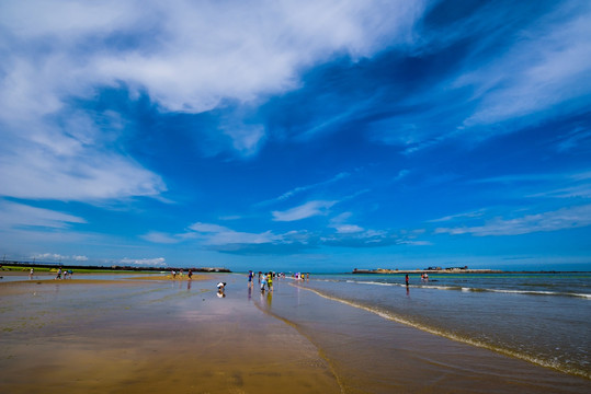 海滩景观