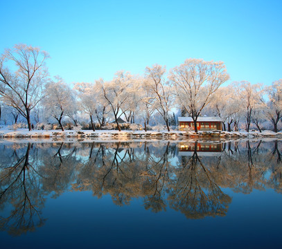 颐和园春雪