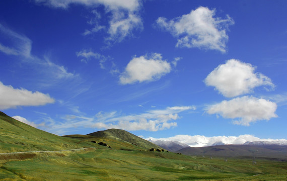 高原草场