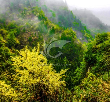 清晨高山