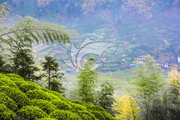 清晨高山