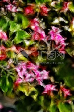 裝飾畫 花