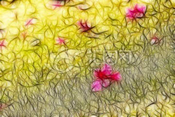 裝飾畫 花