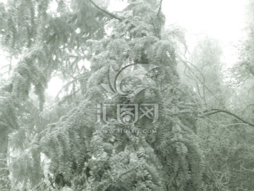 庐山雪景