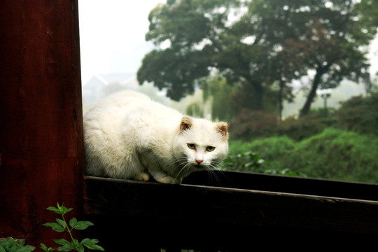 虞山公园风光