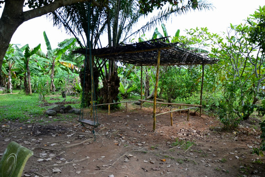 热带植物园 竹棚