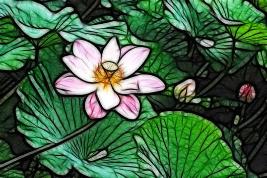 荷花抽象畫