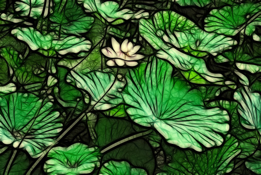 荷花抽象畫(huà)