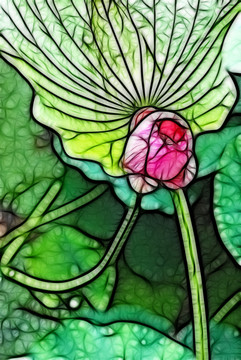 荷花抽象畫(huà)