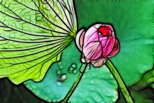 荷花抽象畫(huà)