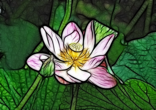 荷花抽象畫
