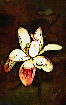 荷花抽象油畫(huà)