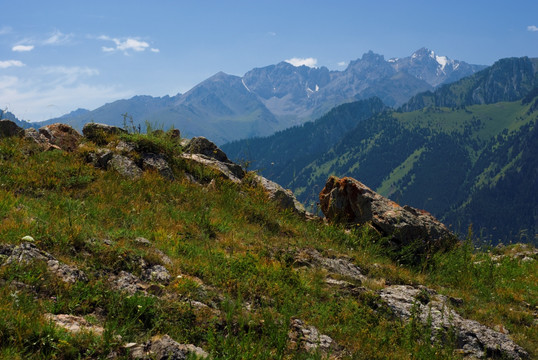 高山