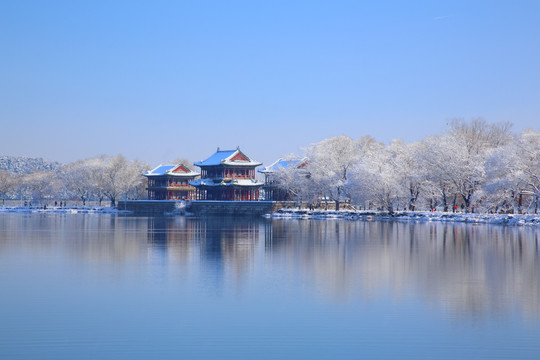 颐和园西堤春雪