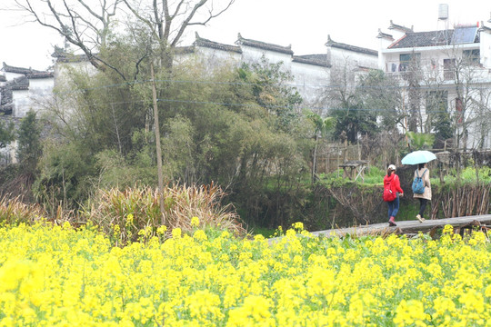 婺源思溪延村